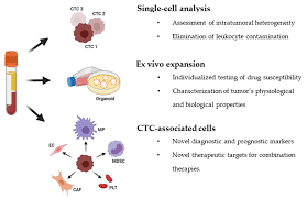 The Circulating Tumor Cell Testing Market To Go The Digitized Disease Management Way