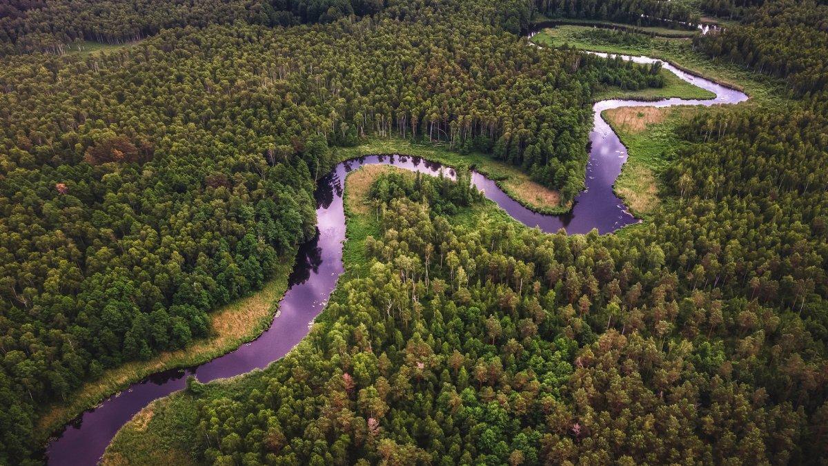 Sungai Amazon: Keajaiban Sungai yang Terletak di Amerika Selatan