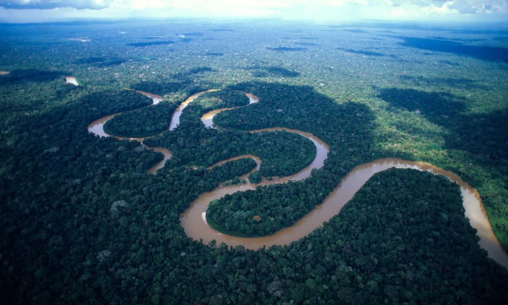 sungai-amazon-keajaiban-sungai-yang-terletak-di-amerika