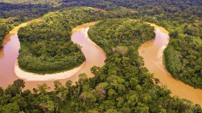 sungai-amazon-keajaiban-sungai-yang-terletak-di-amerika